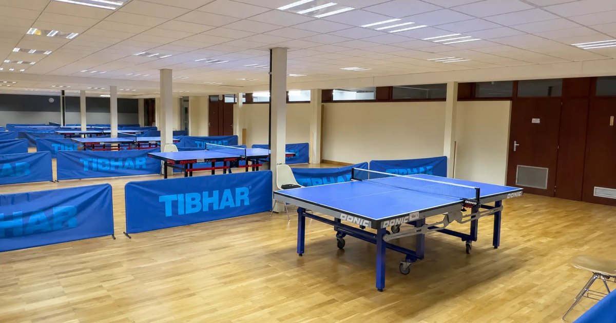 École de tennis de table pour les enfants